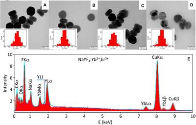 Polymer-coated hexagonal upconverting nanoparticles: chemical stability and cytotoxicity